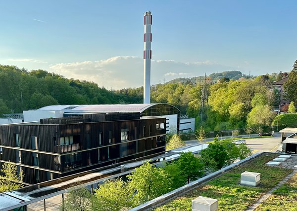 What Are the Insurance Implications for UK Properties with Green Roof Installations?